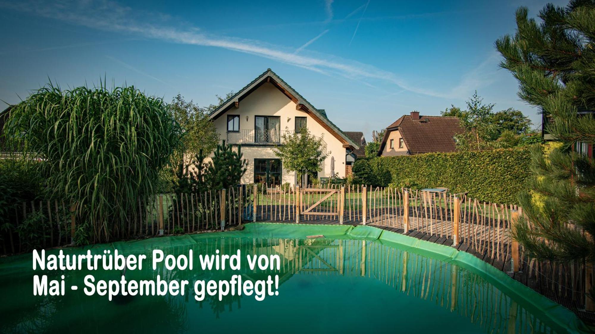 Ferienhaus Mountfrosch Mit Sauna Und Naturpool Monschau Exteriér fotografie